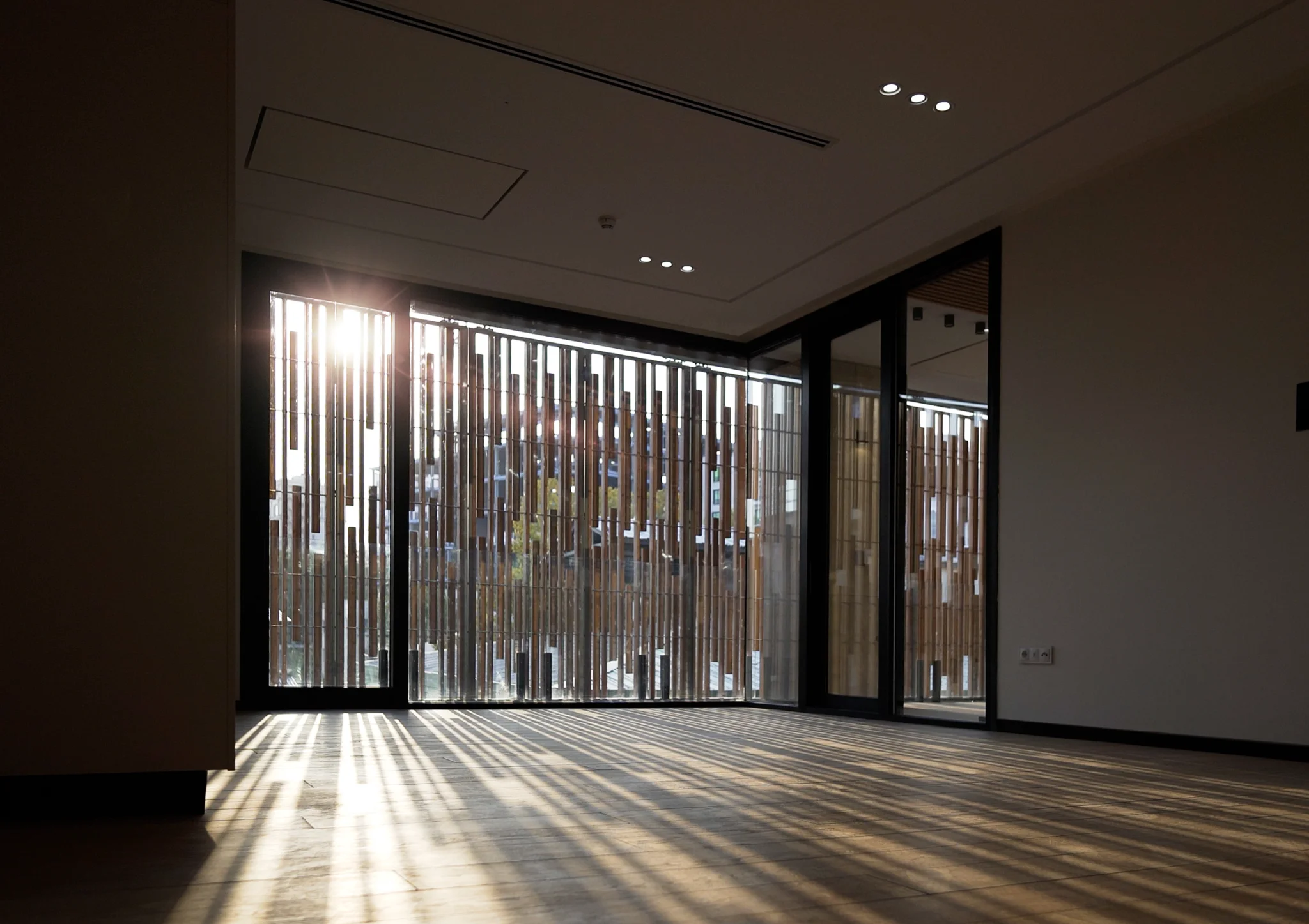Sculptural interior in filtered daylight